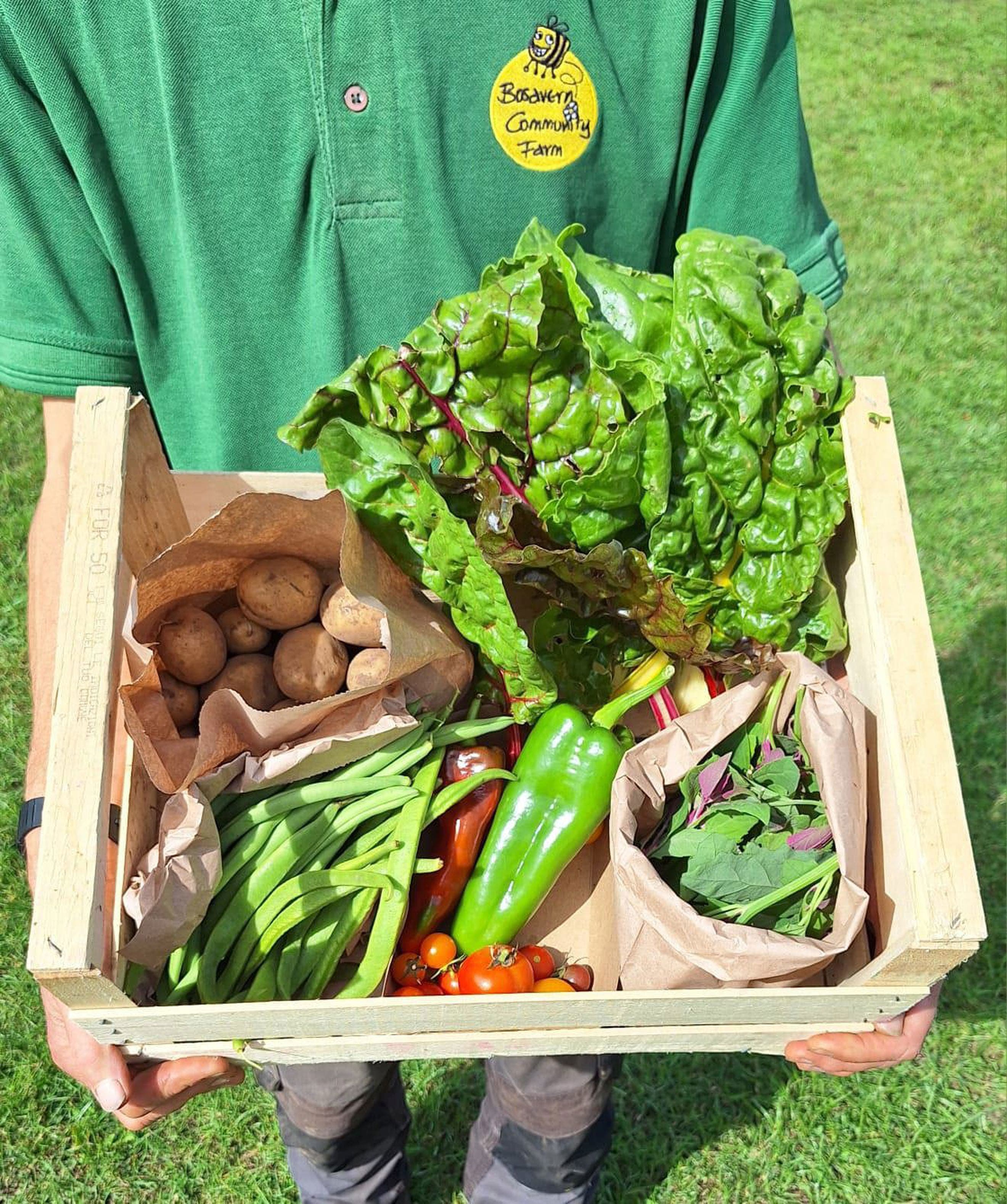 Small Veg Box
