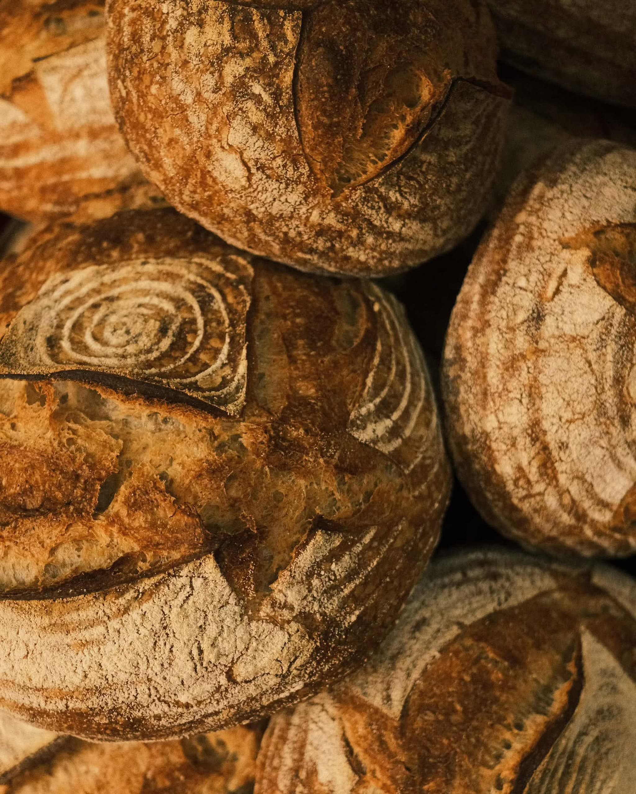 Borderlais Sourdough (Large)