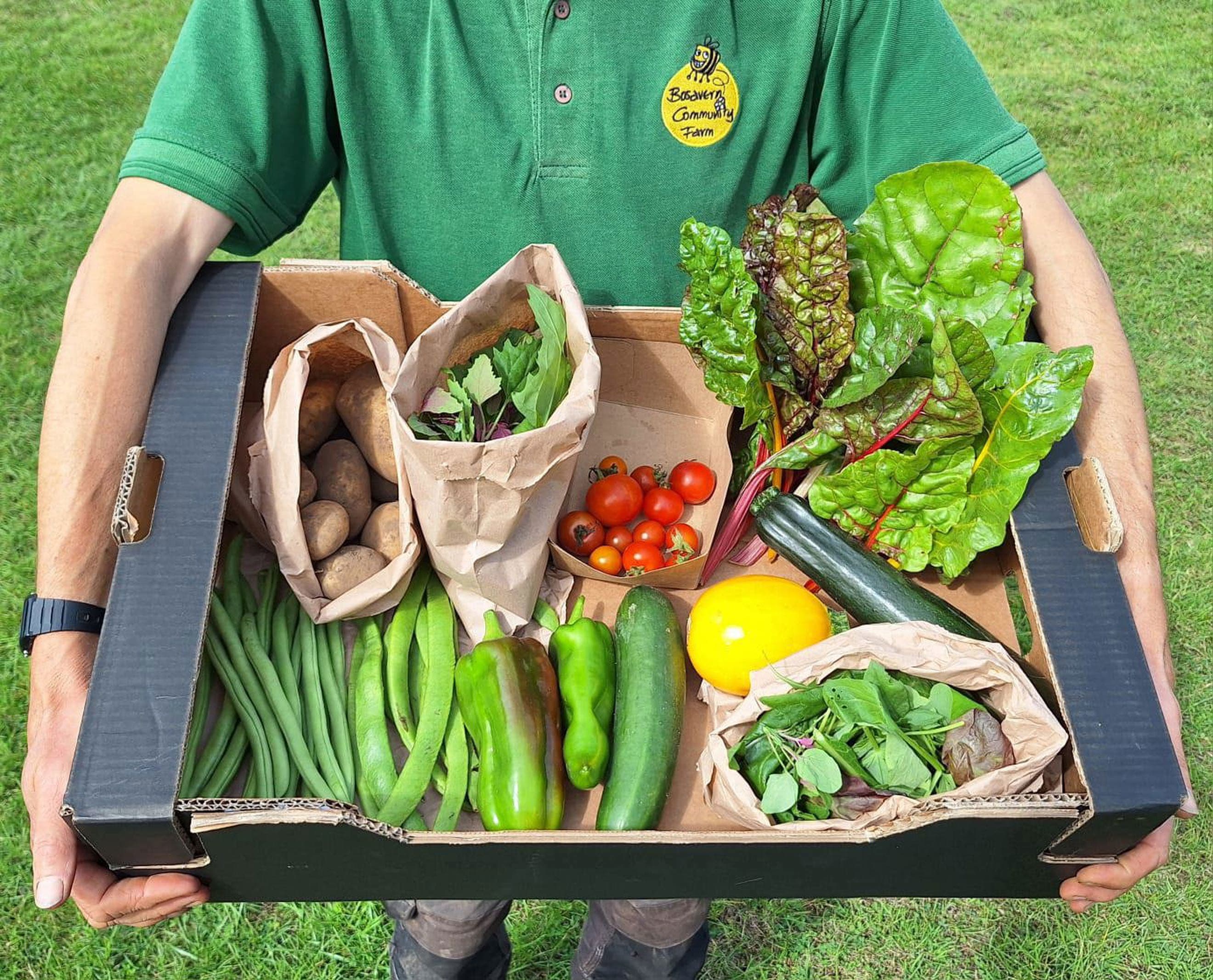 Standard Veg Box