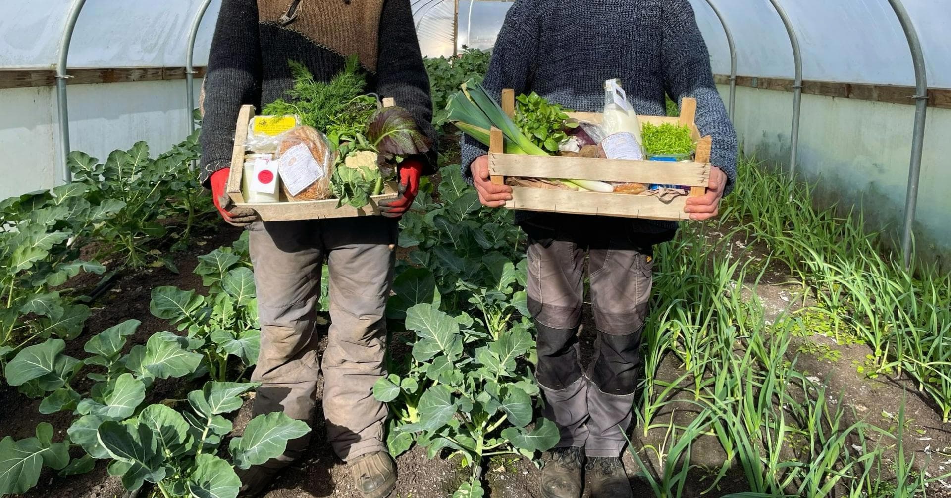 Bosavern Community Farm